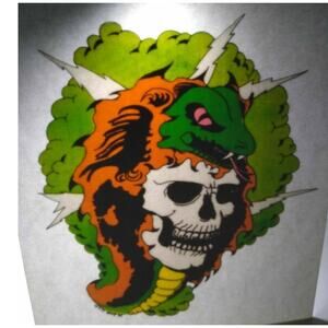 Grateful Dead Vintage Original Car Window Decal Skull Green Snake Lightning '92
